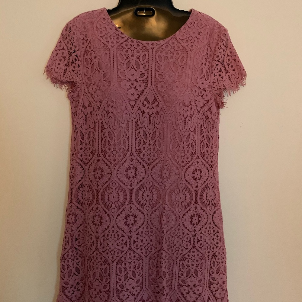 Francesca’s Mauve Knee Length Lace Shift Dress